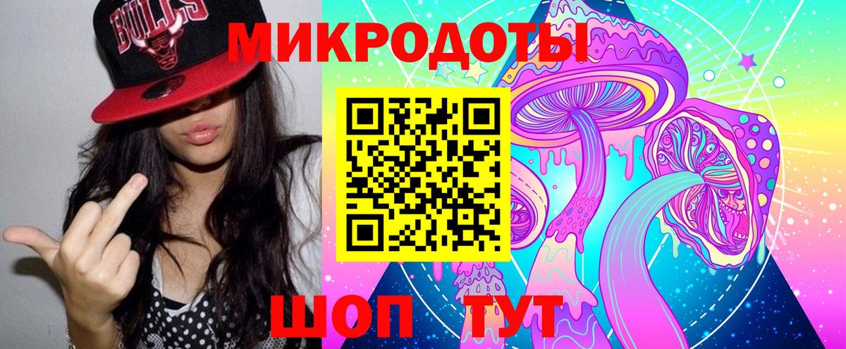 Северобайкальск  Псилоцибиновые грибы GOLDEN TEACHER  Вход с VPN  Галлюциногенные грибы мицелий 
